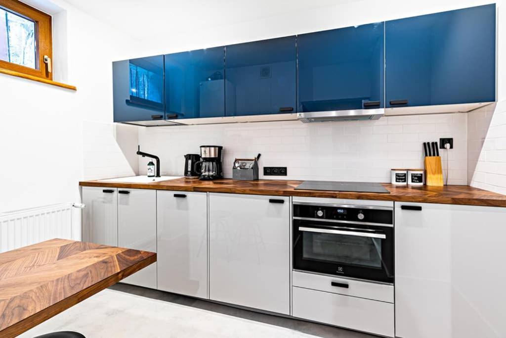 Blick Apartments - Riverview Soft Loft Zgorzelec Eksteriør billede
